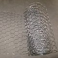 Poultry Netting image